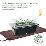 Nursery Pot Tray Manufacturer - OEM/ODM Custom 6-Cell Rectangle Propagation