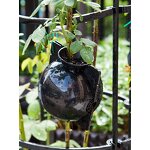 Moss Pole Manufacturer - OEM/ODM Custom Plastic Moss Stick for Climbing