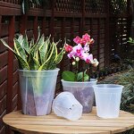 Orchid Pot Manufacturer - OEM/ODM Custom Clear Plastic with Holes Saucers