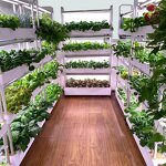 Hydroponics System Manufacturer - OEM/ODM Custom 4-Layer 120-Hole Plant