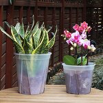 Transparency Nursery Pot Manufacturer - OEM/ODM Custom Garden Planting Cup
