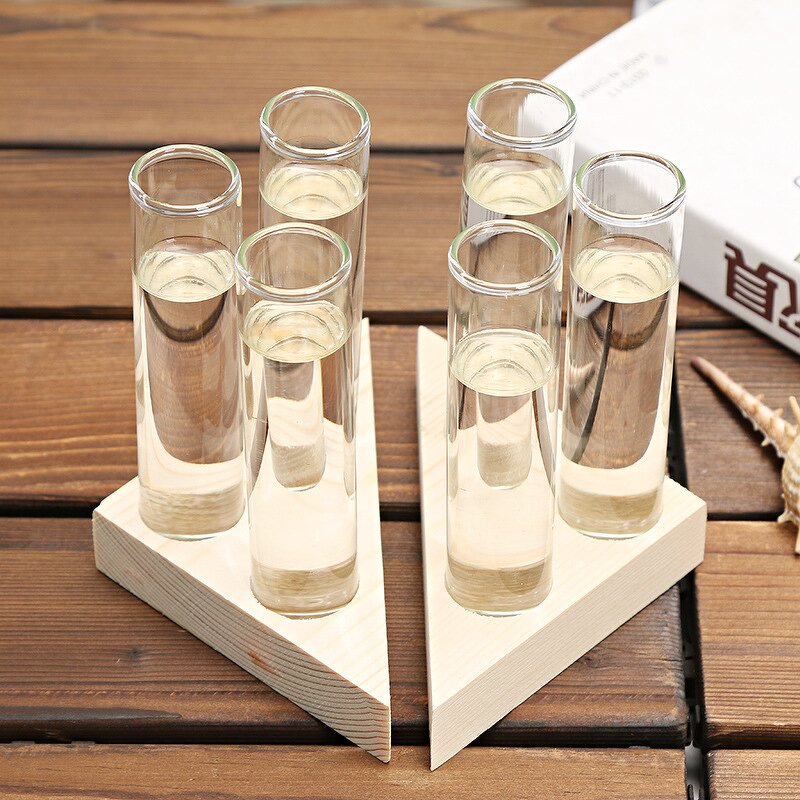 Hydroponic Vase Manufacturer - OEM/ODM Custom Wooden Frame Transparent Bottle