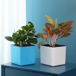 Self Watering Planter Manufacturer - OEM/ODM Custom Fashion Translucent Plastic