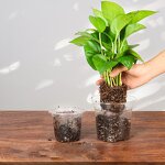 Self Watering Pot Manufacturer - OEM/ODM Custom Plastic Home Garden Vegetable