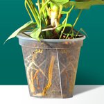 Orchid Pot Manufacturer - OEM/ODM Custom Clear Plastic with Holes Planter