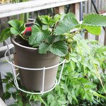 Gardening Fence Manufacturer - OEM/ODM Custom PVC European-style Plastic