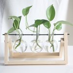Propagation Station Manufacturer - OEM/ODM Custom Wall Hanging Glass Test Tube