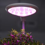 Smart Garden Manufacturer - OEM/ODM Custom Fiberglass Vegetable Planters Box