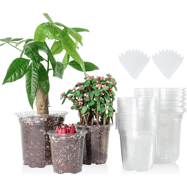 Nursery Pot Manufacturer - OEM/ODM Custom Plastic Rooting with Drainage Hole