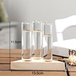 Hydroponic Vase Manufacturer - OEM/ODM Custom Wooden Frame Transparent Bottle