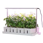 Smart Garden Manufacturer - OEM/ODM Custom Fiberglass Self Watering Planter
