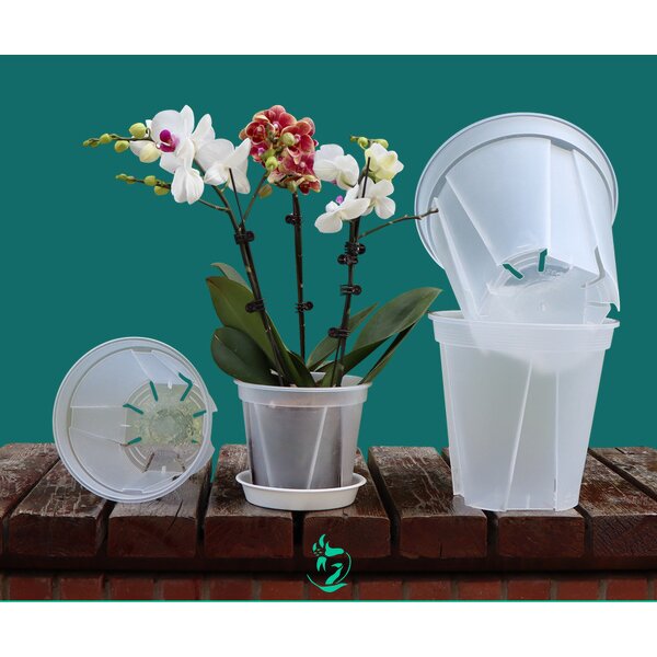 Nursery Pot Manufacturer - OEM/ODM Custom Root Control Clear Plastic