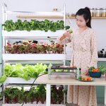 Hydroponic System Manufacturer - OEM/ODM Custom Garden Pot Automatic Aquaponics