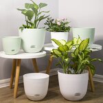 Flower Pot Manufacturer - OEM/ODM Custom Green Basin Buckle Nordic Minimalist