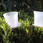 Orchid Pot Manufacturer - OEM/ODM Custom Clear Plastic with Holes Planter