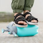 Sprayer Manufacturer - OEM/ODM Custom 2l Pressure Garden Spray Bottle