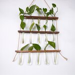 Glass Bulb Vase Manufacturer - OEM/ODM Custom Desktop Plant Terrarium Wooden