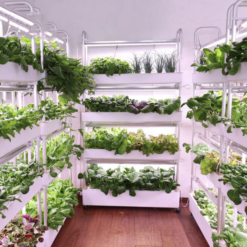 Smart Garden Manufacturer - OEM/ODM Custom 72 Large Planting Position