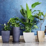 Flower Pot Manufacturer - OEM/ODM Custom PP Tree Planter 21 Inch Plant