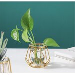 Hydroponic Vase Manufacturer - OEM/ODM Custom Wooden Frame Transparent Glass