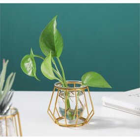 Hydroponic Vase Manufacturer - OEM/ODM Custom Wooden Frame Transparent Glass