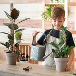 Plant Support Stake Manufacturer - OEM/ODM Custom 25 Cm Green Fiberglass