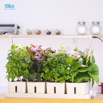 Smart Garden Manufacturer - OEM/ODM Custom 20 Planting Position Planter Box