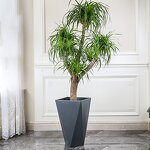 Plastic Pot Manufacturer - OEM/ODM Custom Nordic Style Matte Texture Bird