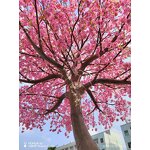 Artificial Cherry Tree Manufacturer - OEM/ODM Custom Huge Fiberglass Bend Trunk