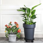 Root Control Pot Manufacturer - OEM/ODM Custom Clematis Breathable Plastic