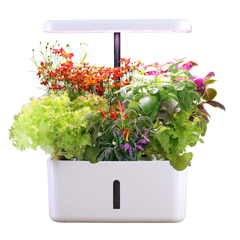 Smart Garden Manufacturer - OEM/ODM Custom Indoor 8 Planting Position