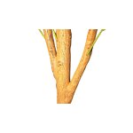 Artificial Olive Tree Manufacturer - OEM/ODM Custom Faux Plant Home Office