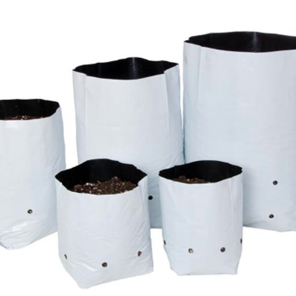Planting Bag Manufacturer - OEM/ODM Custom Wholesale PE Seedling Bag