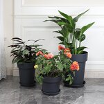 Root Control Pot Manufacturer - OEM/ODM Custom Clematis Breathable Plastic