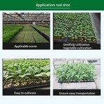 Gallon Pot Manufacturer - OEM/ODM Custom Factory OEM 1-15 Gallon Trade