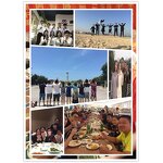 Automatic Sheet Cutter Supplier - Sticker Die Cutter Machine