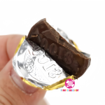 Chocolate Candy Manufacturer - Custom Golden Coins Milk Round