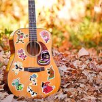 Vinyl Sticker Manufacturer - OEM/ODM Custom Die Cut UV Printing Waterproof