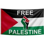Palestine Flag Manufacturer - OEM/ODM Custom 5x3ft Country Logo Polyester