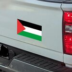 Car Sticker Manufacturer - OEM/ODM Custom Design Palestine Flag Back Film