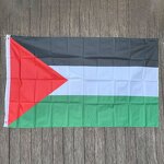 Palestine Flag Manufacturer - OEM/ODM Custom 3x5 ft Polyester Fabric National