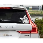 Car Decal Manufacturer - OEM/ODM Custom Print Removable Vinyl for Cars Body