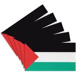 Car Sticker Manufacturer - OEM/ODM Custom Design Palestine Flag Back Film