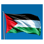 Palestine Flag Manufacturer - OEM/ODM Custom 3x5ft 90x150cm for Event Activity