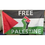 Palestine Flag Manufacturer - OEM/ODM Custom 3x5 ft Clear Printing Polyester