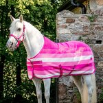Horse Fleece Cooler Manufacturer - OEM/ODM Custom Pink Blanket Riding Products