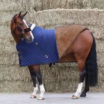 Horse Rug Manufacturer - OEM/ODM Custom Turnout Stable Combo Blanket