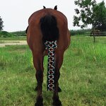 Slip-on Tail Bag Manufacturer - OEM/ODM Custom Stretchy Equine Tail Wrap