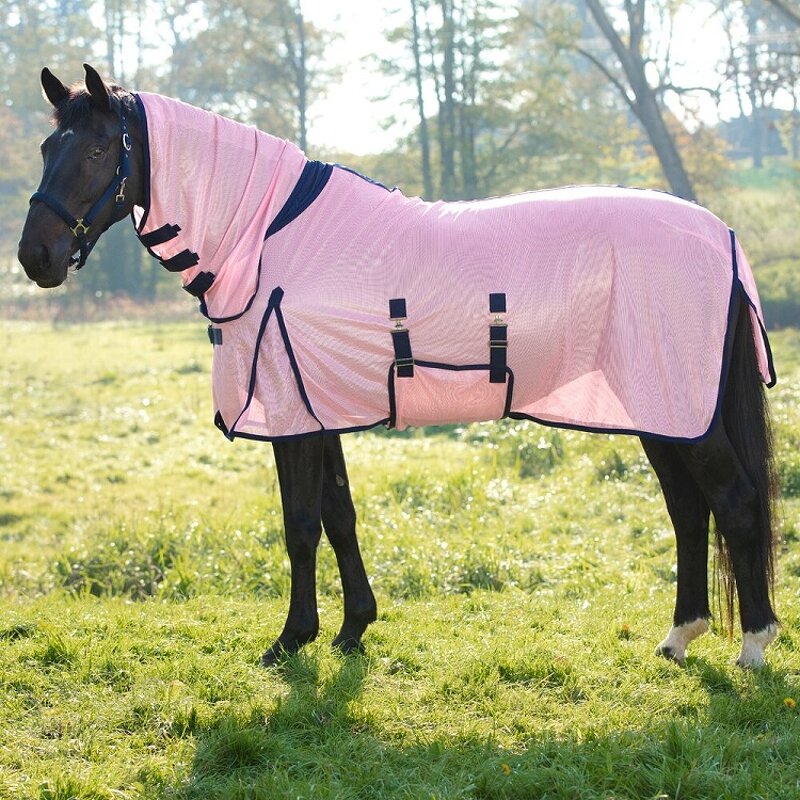 Horse Fly Rug Manufacturer - OEM/ODM Custom Professional Comfortable Breathable