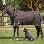 Horse Rug Manufacturer - OEM/ODM Custom Turnout Stable Combo Blanket